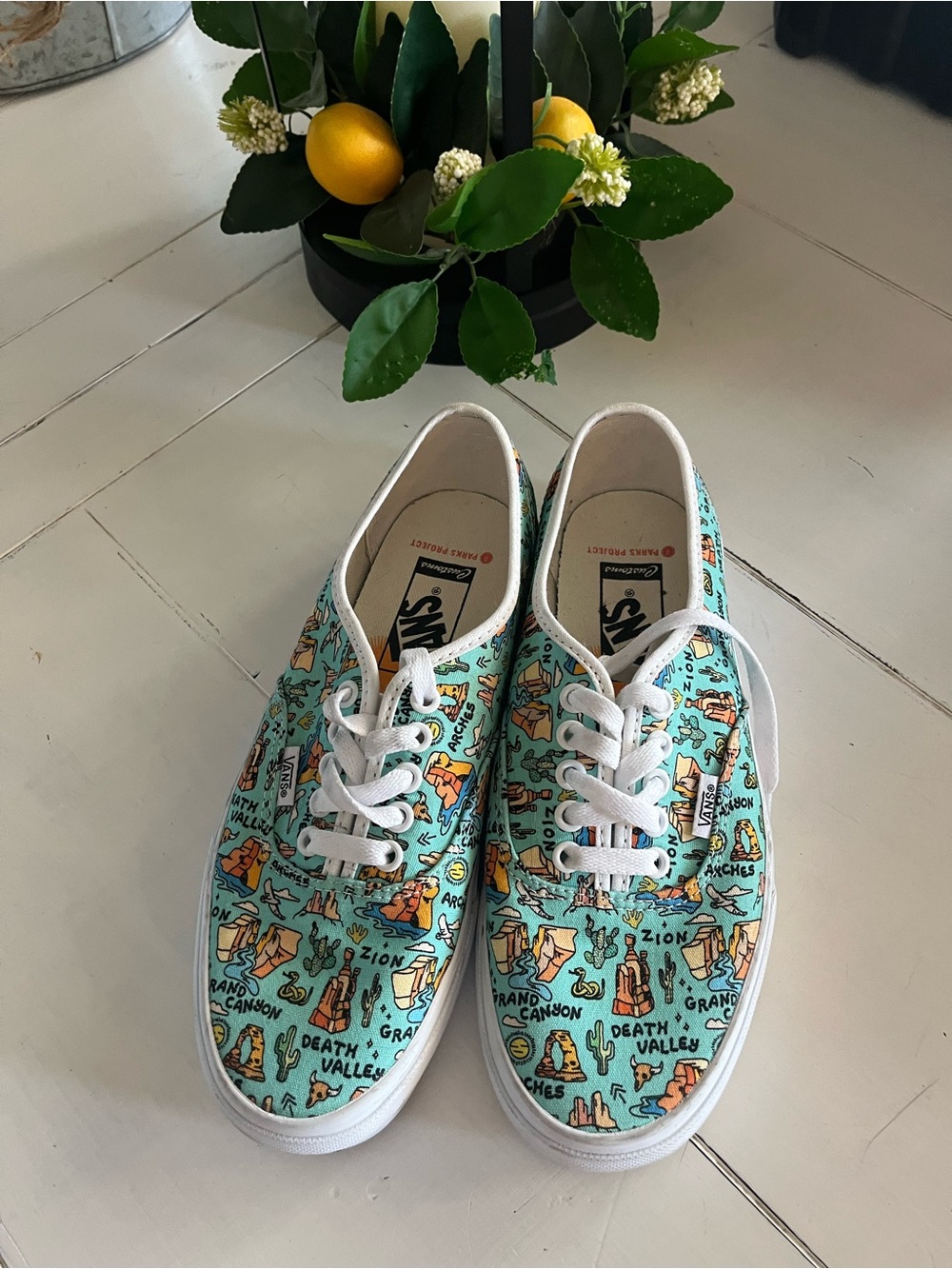 Vans Era Low Top Sneakers National Parks Project Print Womens size 8